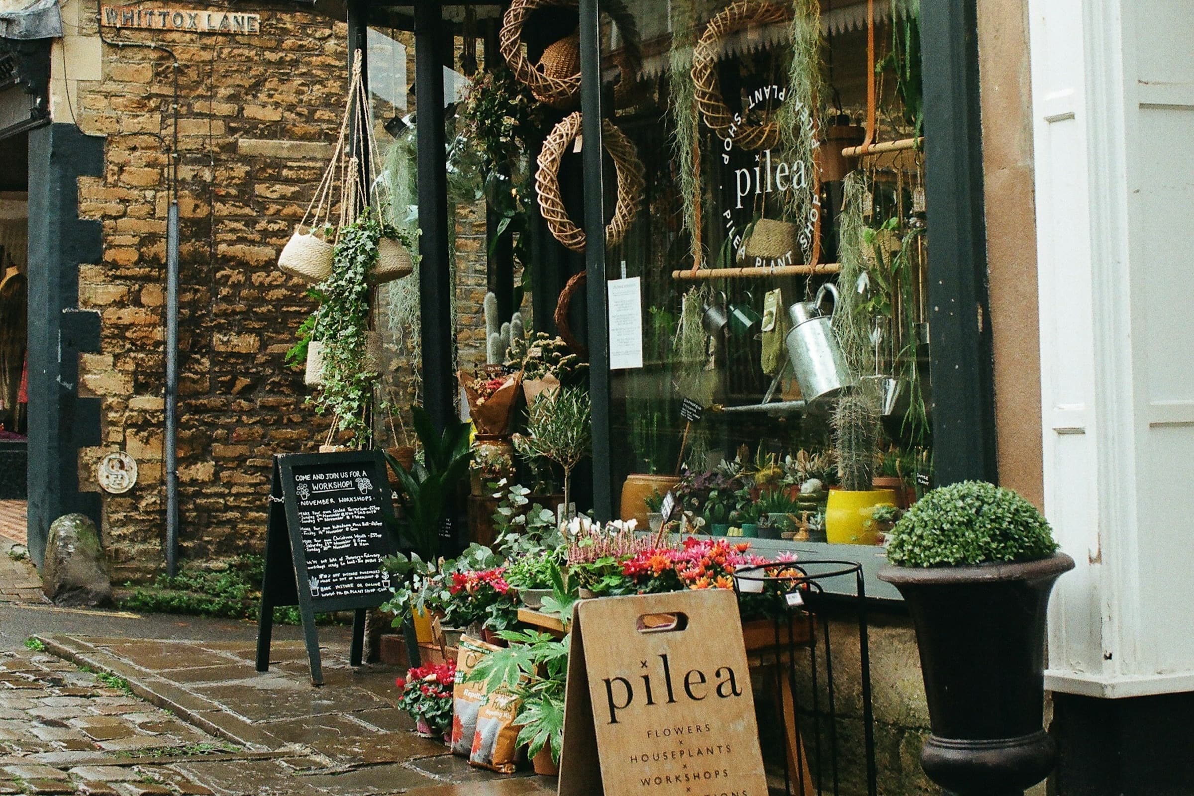 Vidriera de una tienda con plantas y productos naturales