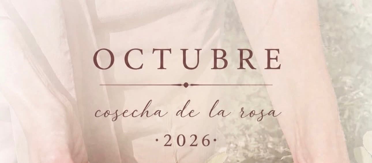 Cosecha de la Rosa Damascena