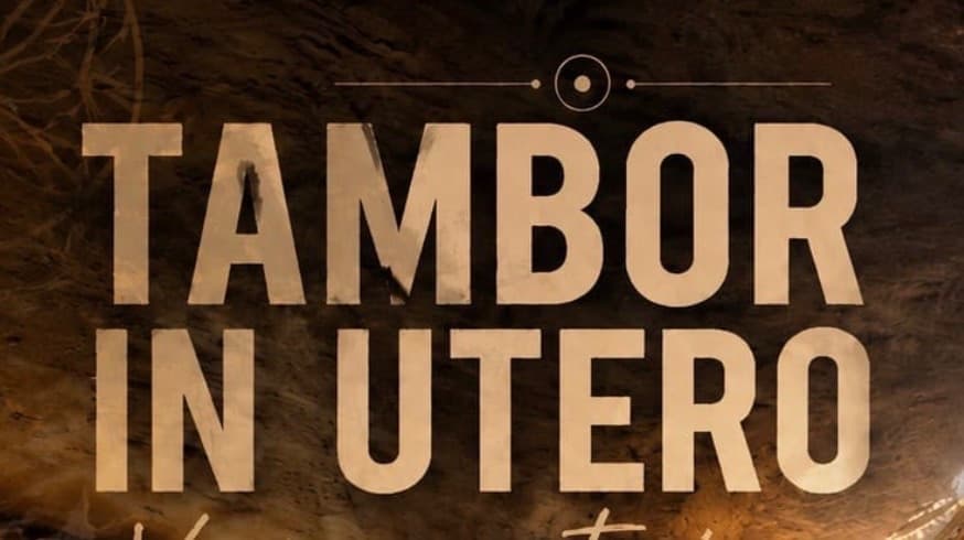 Experiencia de Tambor in Utero