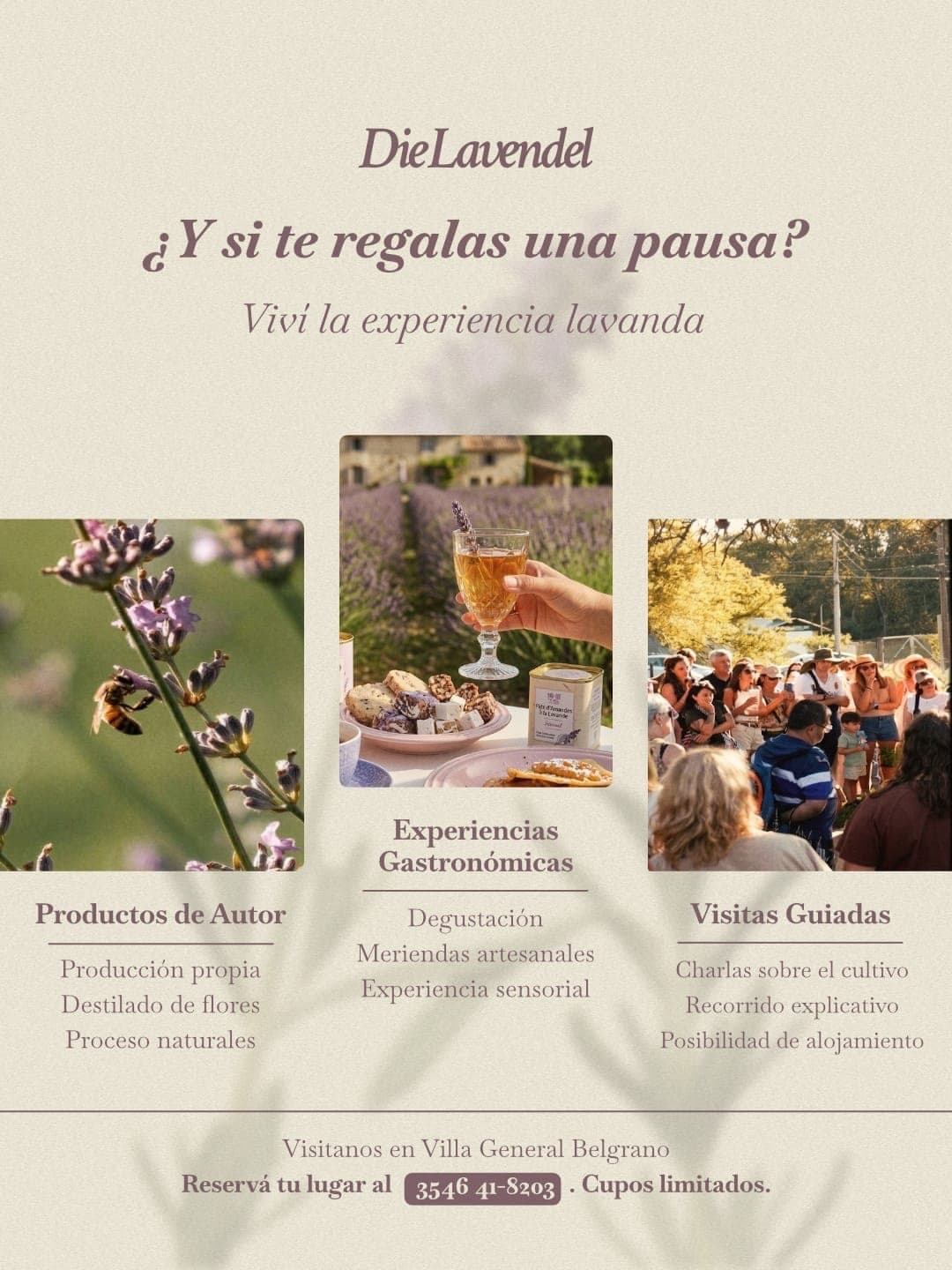 Experiencia Lavanda